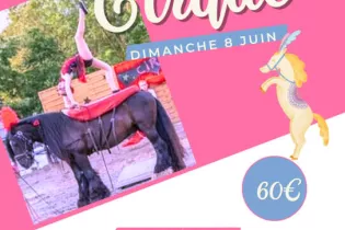 atelier-du-cirque-oreil-équitation-chateauneuf-sur-sarthe-49-fma - ©oreil équitation