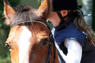 Stage équitation  - freepik