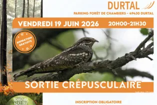 Affiche Carré - Sortie Crépusculaire - Mairie Durtal