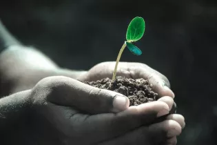 Biodiversité - Pixabay