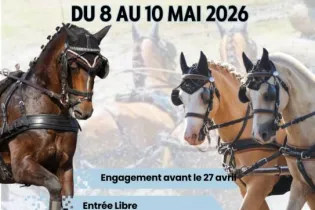 Affiche - Concours 2026 - Attelage - Haras des Fenucy