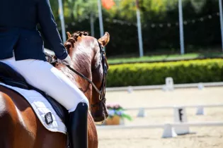 CONCOURS EQUITATION_DRESSAGE - ©theother Kev de Pixabay
