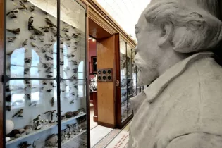 Visite_Musée_Joseph_Denais-49-FMA-photo1 - ©Musée Joseph Denais