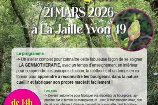 Capture d’écran 2026-03-06 143745 - Nature et Simples