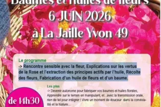 Capture d’écran 2026-03-06 145837 - Nature et Simples