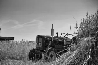 Comice agricole - Pixabay