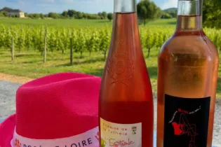 Domaine de la Tuffiere - ©Laura Bellanger 
