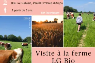 Visite LGBiomédiathèque - Le Tremblay - FMA - 49 - ©SEAB