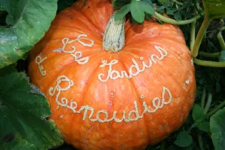 Fête des Citrouilles 2015 Jardins des Renaudies Jardins(1) - Les Jardins des Renaudies
