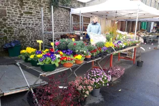 marché de Gorron - Ville de Gorron