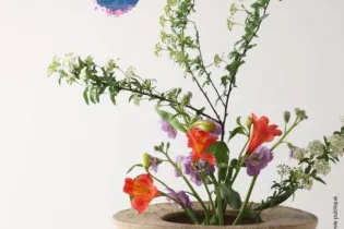 2025 04 06 ikebana LDV - Réseau Lecture