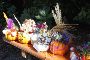 ateliers citrouilles Jardins des renaudies  colombiers du plessis 53 - Les Jardins des Renaudies