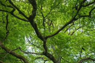 randonnée écologique La marche du Temps - Sz'PHOTOGRAPHIE