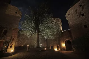 Château de Lassay éclairé - © Armel Duval
