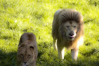 _D0A5520 - ©Refuge de l'Arche