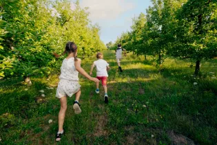 Tiny_Pom_d_Happy-CP-Pascal_BELTRAMI_-_Mayenne_Tourisme-10150-1920px - ©Pascal BELTRAMI - Mayenne_Tourisme