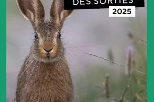 Agenda des sorties nature 2025 - ©Dpmt 53