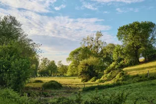 Paysage de Bocage - Alexandre Lamoureux