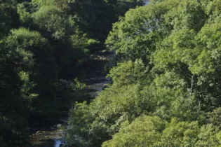 Canyon_des_Toyeres - Pascal_BELTRAMI_Mayenne_Tourisme