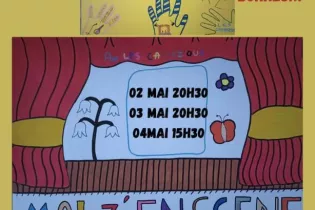 IMG-20250331-WA0002 - ©Mairie de Chemazé 