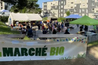 Marché bio - Civam53