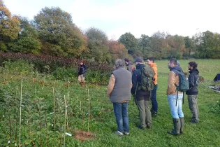 jardin - jardin de la Bédardière