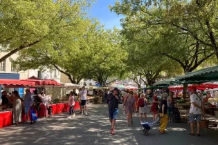 Marché sur la Place de la Trémoille - © TripAdvisor