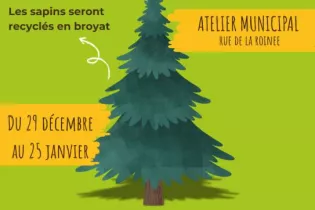 Collecte et broyage sapins de Noel - Laval agglo