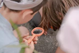 Animation grand public  - Chloé Brehin