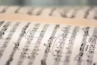 musique © pixabay - 11 - pixabay