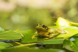 Image d'illustration - Image d'illustration