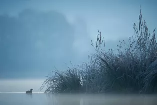 Eric Medard-1295 - Eric Médard