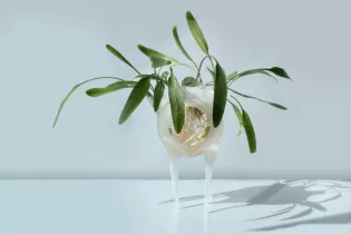 Formes fertiles - ©Eléonore Gold-Dalg