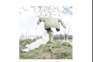 Pied de biche - ©Céline Challet