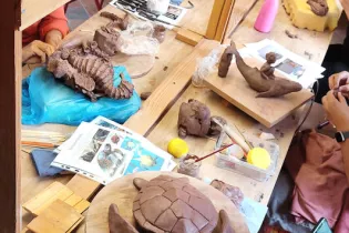 marine8 - Anne Corre