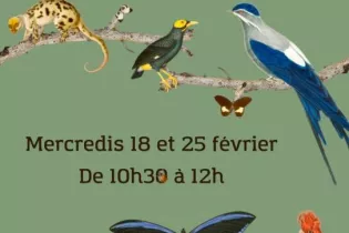 COM ATELIERS 2026 - 1 - ©PCG