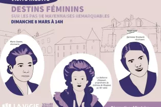 VISITE PAH / VIGIE  - PAH / VIGIE 