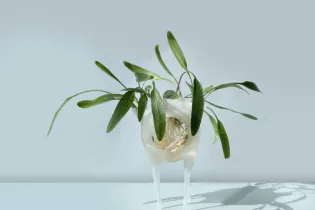 18 - formes fertiles ©Éléonore Gold-Dalg_tout droit réservé (1) - ©Éléonore Gold-Dalg