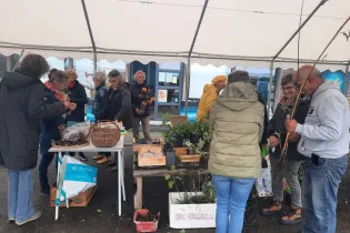 troc plantes - bernard beunaiche