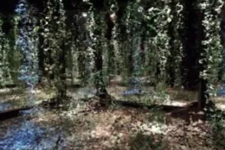 expo été au gARage - ©le gARage