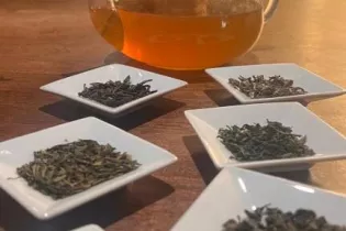 Ateliers autour du thé - Ophélie GREBIC