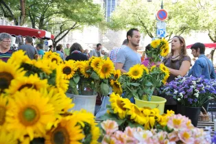Marché de Laval  - © Mayenne Tourisme  JD.Billaud  Nautilus