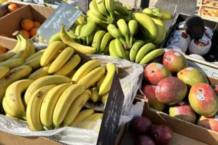 Marché de Changé 006 - ©Anais Ruban