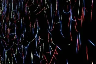 Arthur Zerktouni2 - ©Atelier du Haut Anjou