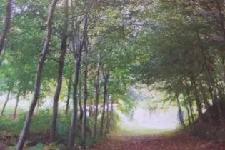 Capture d’écran 2026-03-10 153253 - CD53