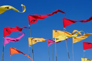 fete village flags-425046_960_720 - Pixabay