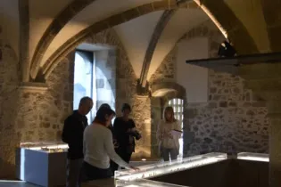 Musée du château de Mayenne - Musée du château de Mayenne