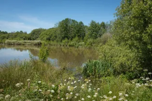 19-CD53-Rincerie - Sz'PHOTOGRAPHIE