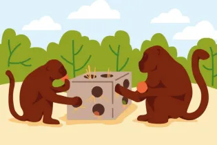 SITE_Enrichissements - ©Refuge de l'Arche