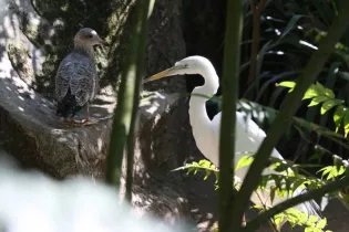 refuge-de-l-arche-2010-credits-JC-Druais (64) - ©JC Druais